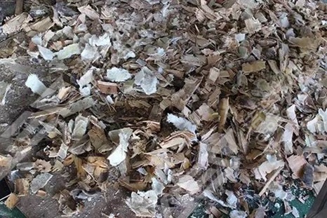 QQ截圖20171106105200.jpg